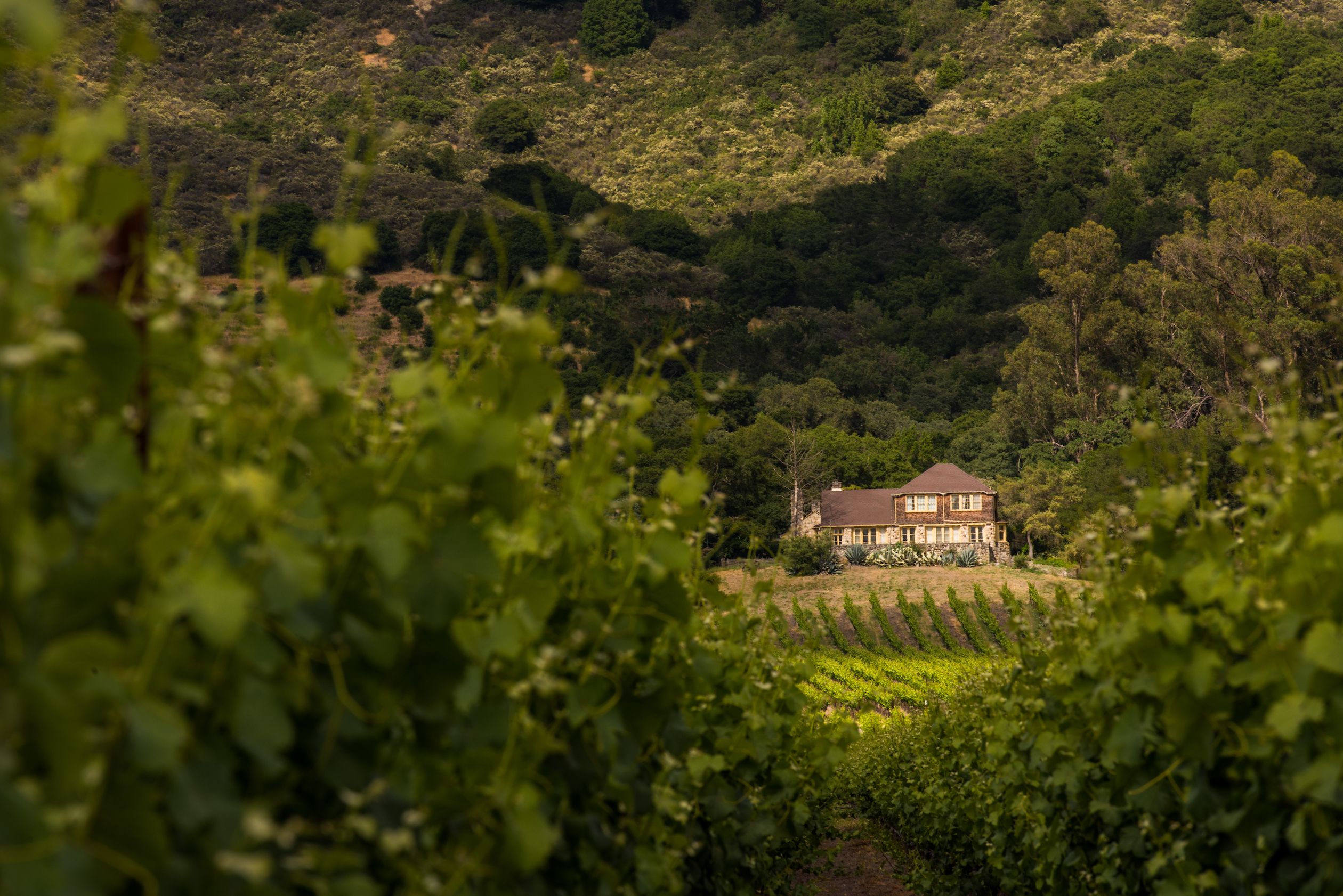 12 Best Sonoma Valley Wineries And Vineyards To Visit