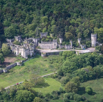 i'm a celebrity 2021 location gwrych castle and gardens, wales