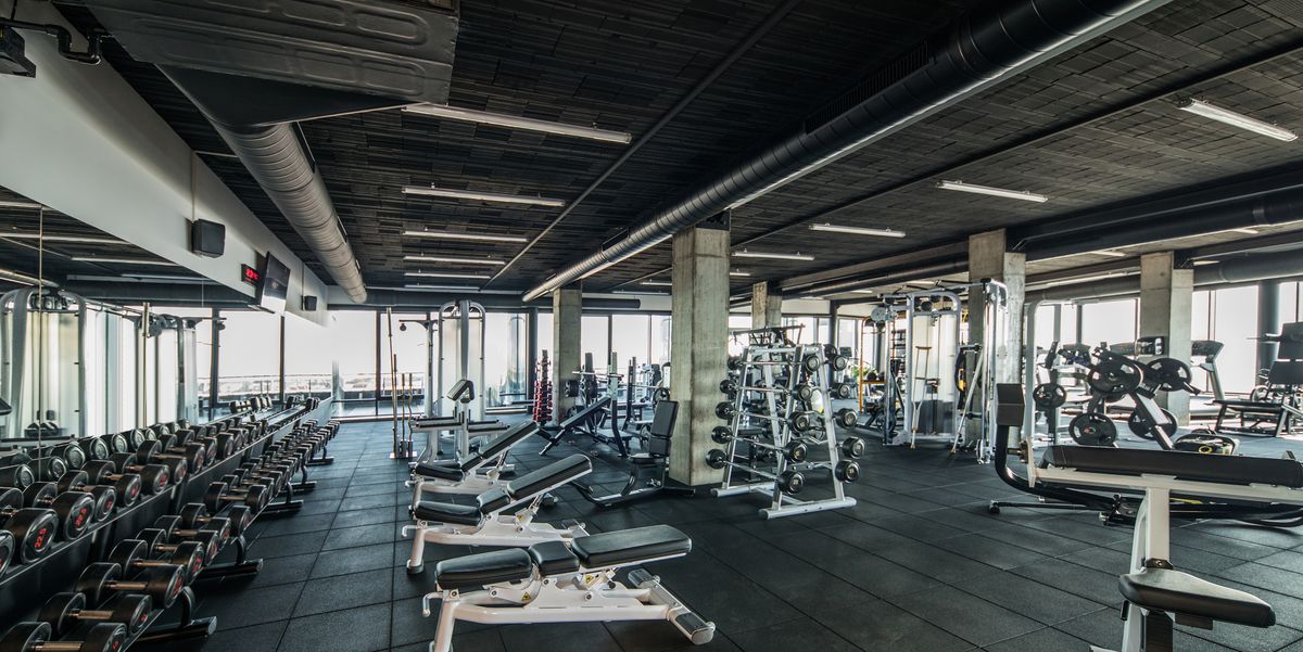 [Image: gym-without-people-with-large-group-of-e...ize=1200:*]