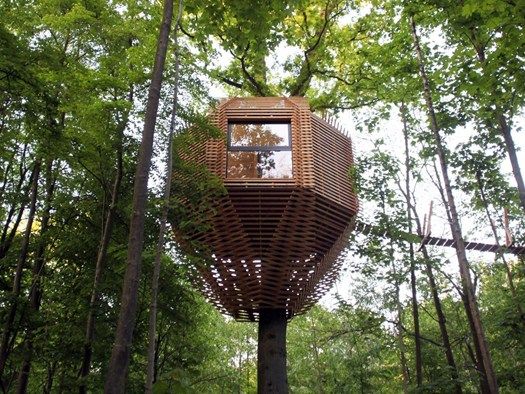 Tree house, Tree, House, Architecture, Observation tower, Building, Plant, 