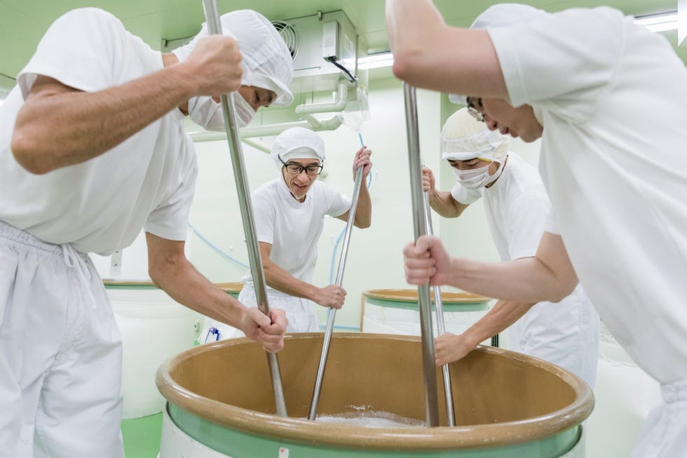 Werknemers van de Hakkaisanbrouwerij een van de grootste in Niigata creren het zetsel shubo voor de bereiding van sake