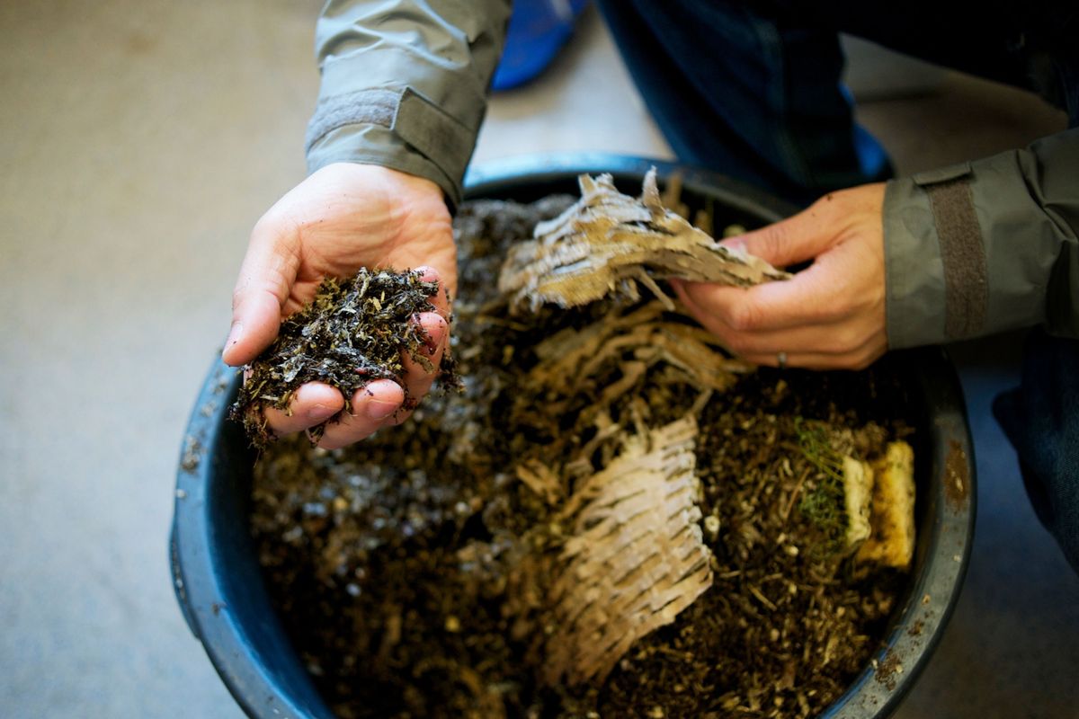 Compost wordt gemaakt uit een mix van etensresten en tuinafval zoals dorre bladeren Compost verbetert de bodem en bevordert daardoor de plantengroei