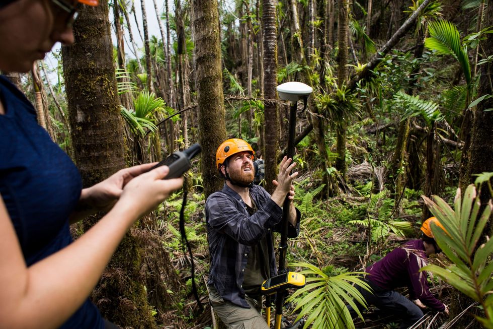 Andrew Quebbeman een promovendus van de Columbia University is op 18 januari 2018 aan het werk voor het onderzoek naar beschadigde bomen in El Yunque National Forest in Puerto Rico Wetenschappers nemen de schade op die orkaan Maria toebracht aan dit ruim 11000 vierkante kilometer grote tropische regenwoud zodat ze meer inzicht krijgen in de permanente veranderingen die plaatsvinden in de wouden in een opwarmende wereld