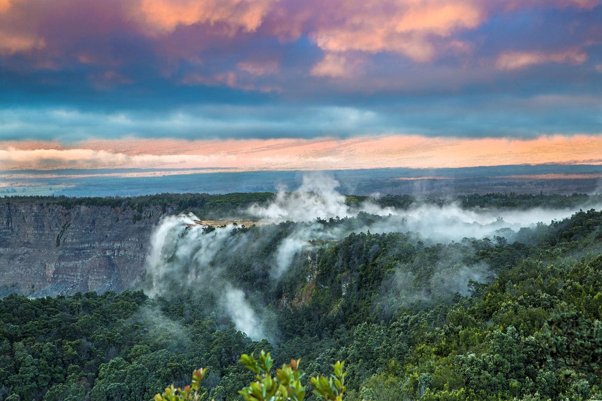 Met zijn kwetsbare inheemse soorten bevindt het Hawaii Volcanoes National Park zich in de frontlinie van de strijd die de National Park Service tegen invasieve soorten levert