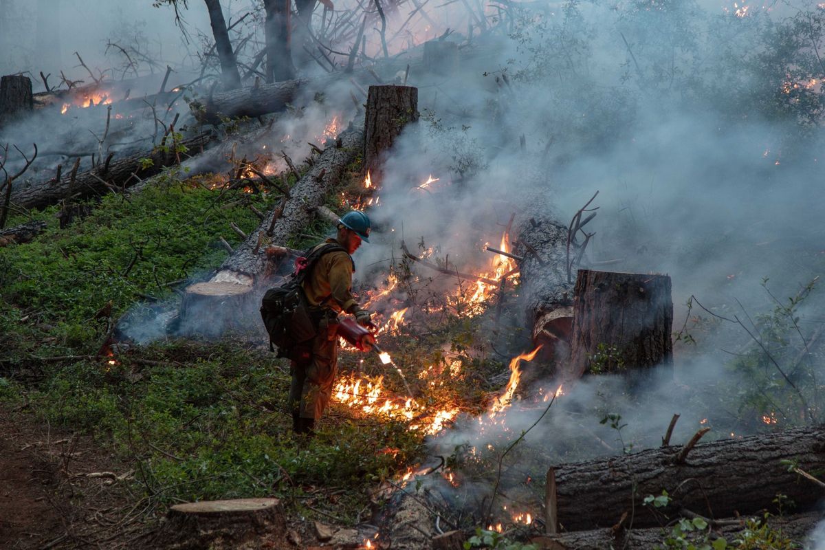 Een Hotshotteam van de US Forest Service voert een beheersbrand uit in het Tahoe National Forest In de wouden van de westelijke VS worden dode takken en dorre bladeren  de brandstof voor bosbranden  doelbewust verwijderd door het uitvoeren van zorgvuldig beheerde brandjes zodat het risico op intense vuurzeen wordt verminderd