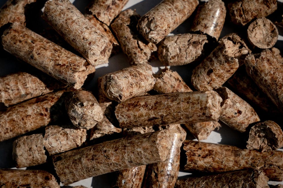 Houtpellets  elk ongeveer zo groot als een sigarettenfilter  worden ten behoeve van de opwekking van elektriciteit vanuit de VS naar landen in de hele wereld gexporteerd