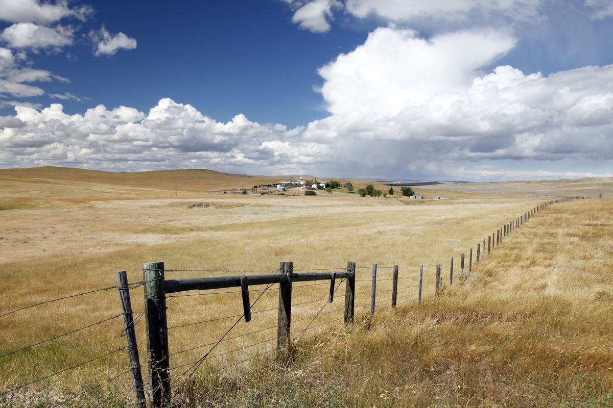 In Wyoming strekt een omheining van prikkeldraad zich uit tot aan de horizon En enkele county in deze staat telt in totaal ruim 7200 kilometer aan prikkeldraad en andere omheiningen