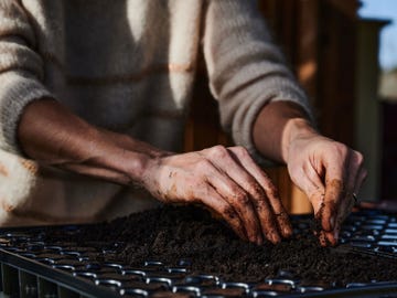 potgrond wordt gebruikt om zaadjes in te planten en de plantenbakken van mensen met stadstuinen mee te vullen maar draagt door zijn ingredinten enorm bij aan de co2uitstoot