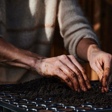 potting-soil Potgrond wordt gebruikt om zaadjes in te planten en de plantenbakken van mensen met stadstuinen mee te vullen maar draagt door zijn ingredinten enorm bij aan de CO2uitstoot