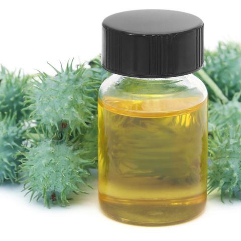 Vegetable oil, Hemp oil, Plant, Wheat germ oil, Oil, Herbal, Herb, Annual plant, Herbaceous plant, Liquid, 