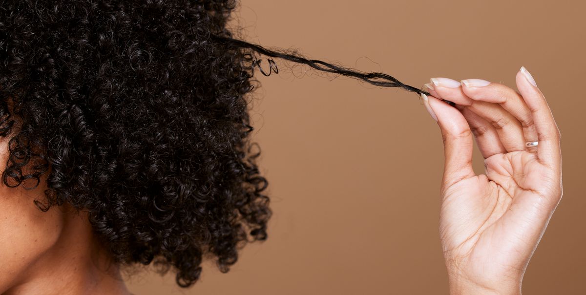 hair care, beauty and black woman hand with curly hair on brown background in studio hair salon, wellness and girl holding curl marketing hair treatment products for growth, natural and healthy hair