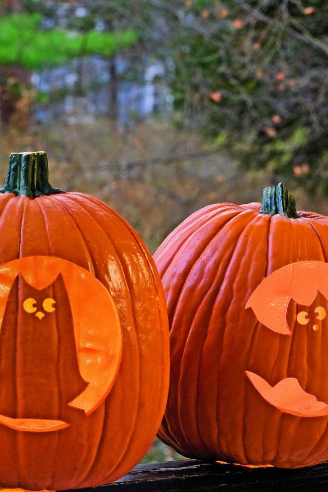 pumpkin carving ideas bat pumpkin