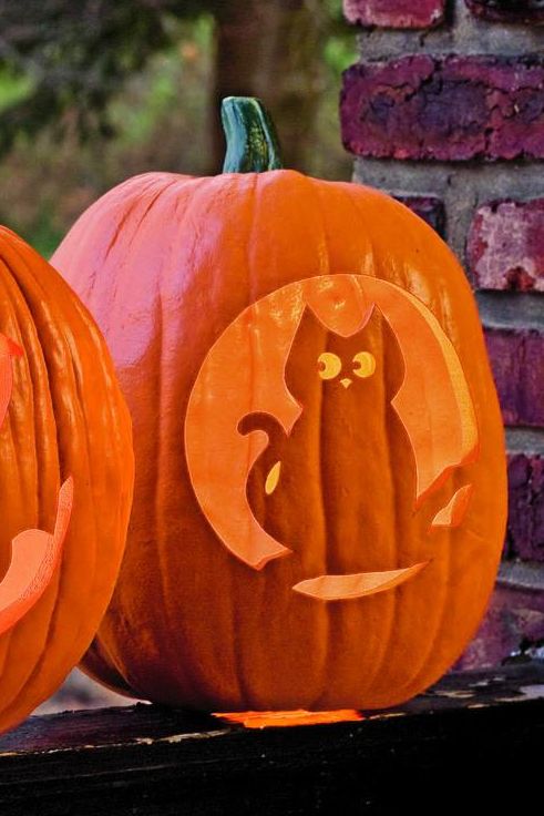 pumpkin carving ideas cat pumpkin