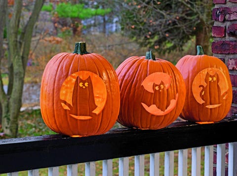 80+ Cool Pumpkin Carving Ideas, Faces, Designs for Halloween 2023