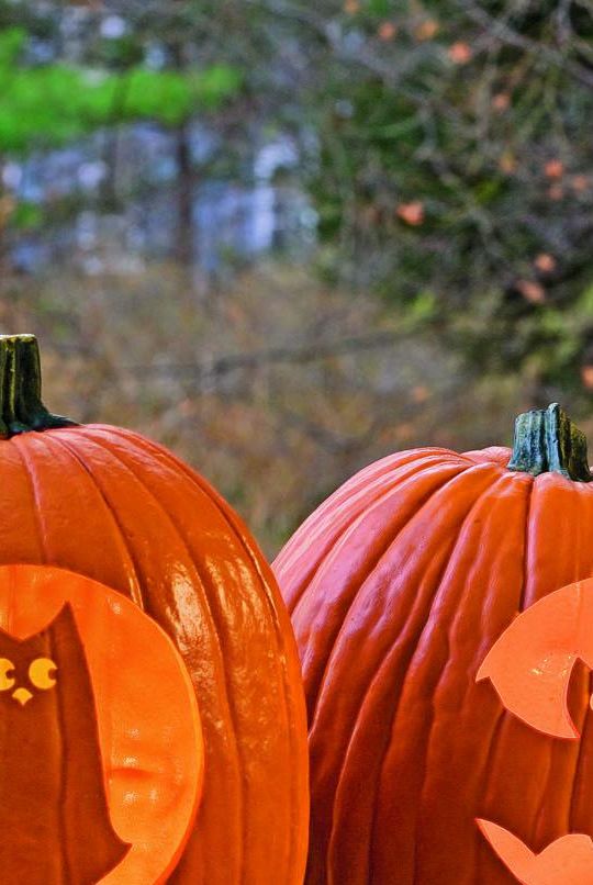 advanced pumpkin carving patterns printable