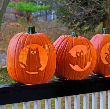 pumpkin carving stencils bats and cats