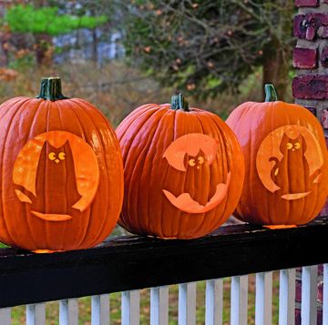 pumpkin carving stencils bats and cats