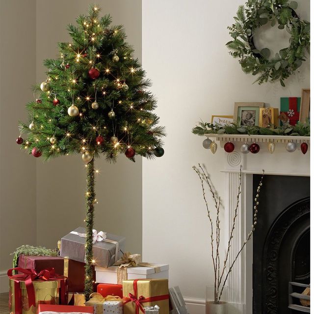 Yellow fir, White pine, Tree, oregon pine, Christmas tree, Colorado spruce, lodgepole pine, Christmas decoration, balsam fir, red pine, 