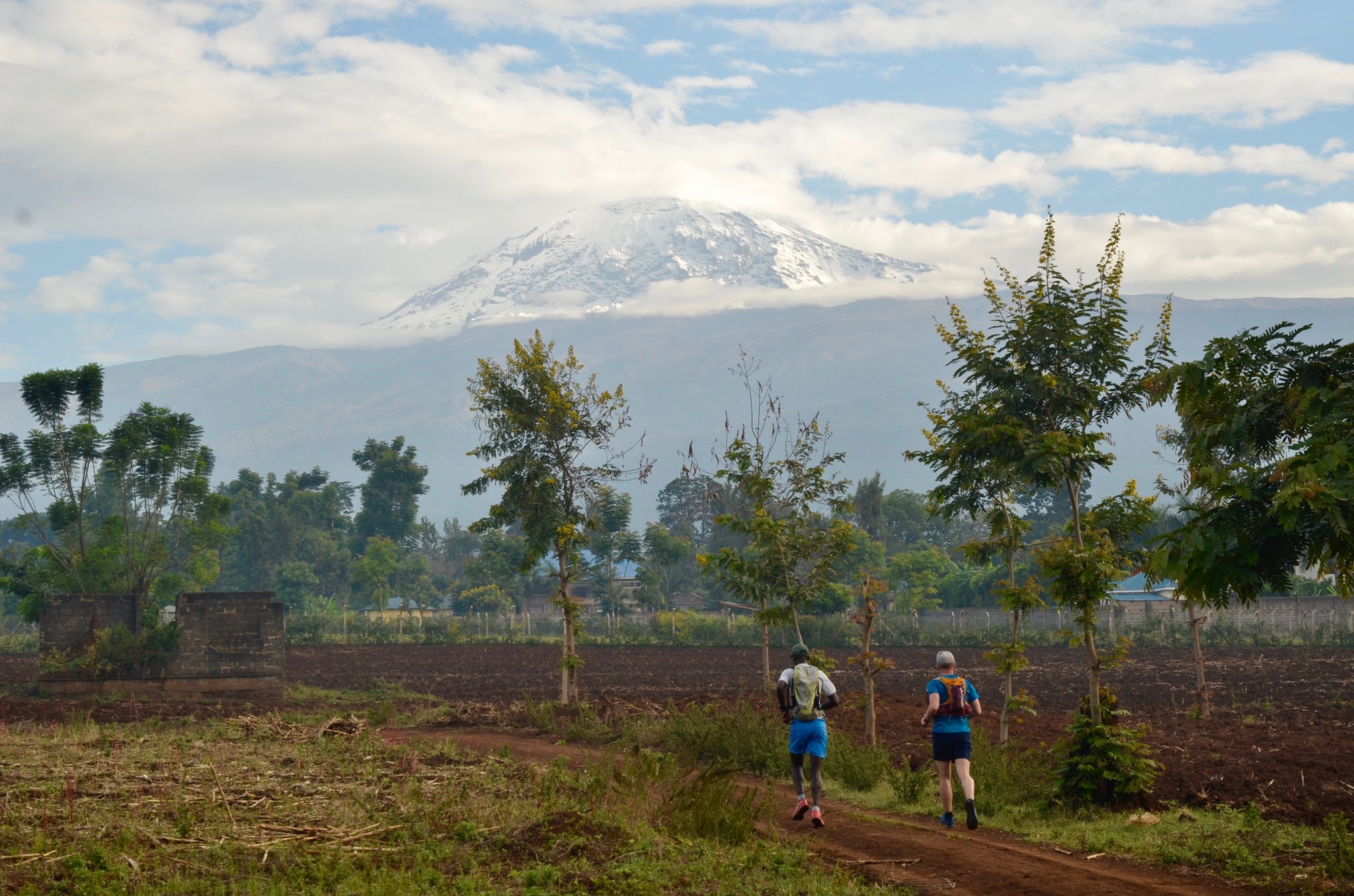 Runners on a Summit Expedition trip run with a view of Mt Kilimanjaro