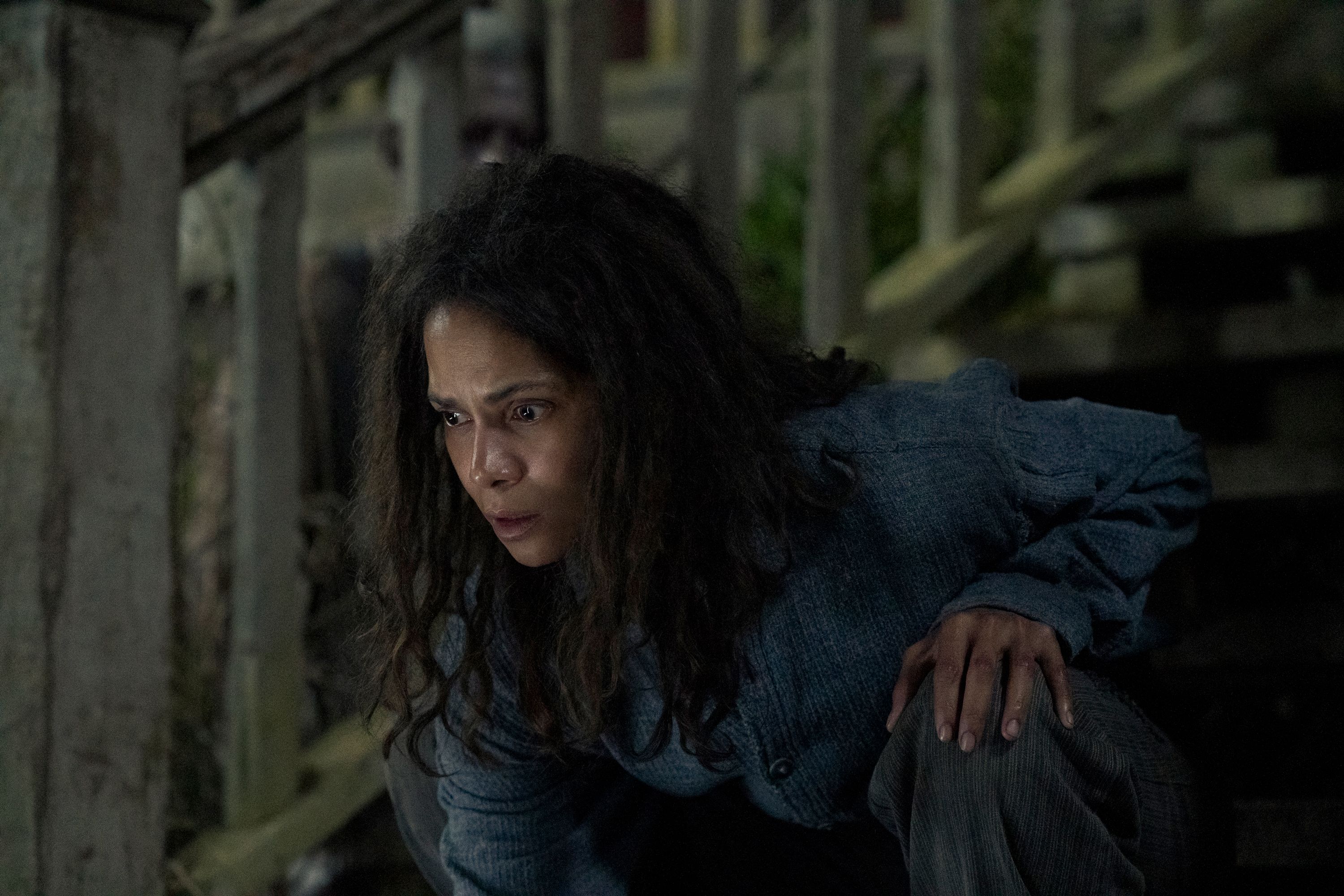 Halle Berry's new horror movie debuts with fresh Rotten Tomatoes rating