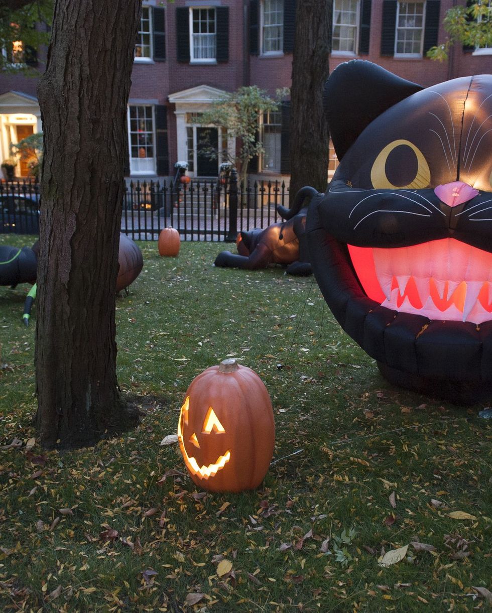 yard with giant inflatable black cat head and jack o lanterns