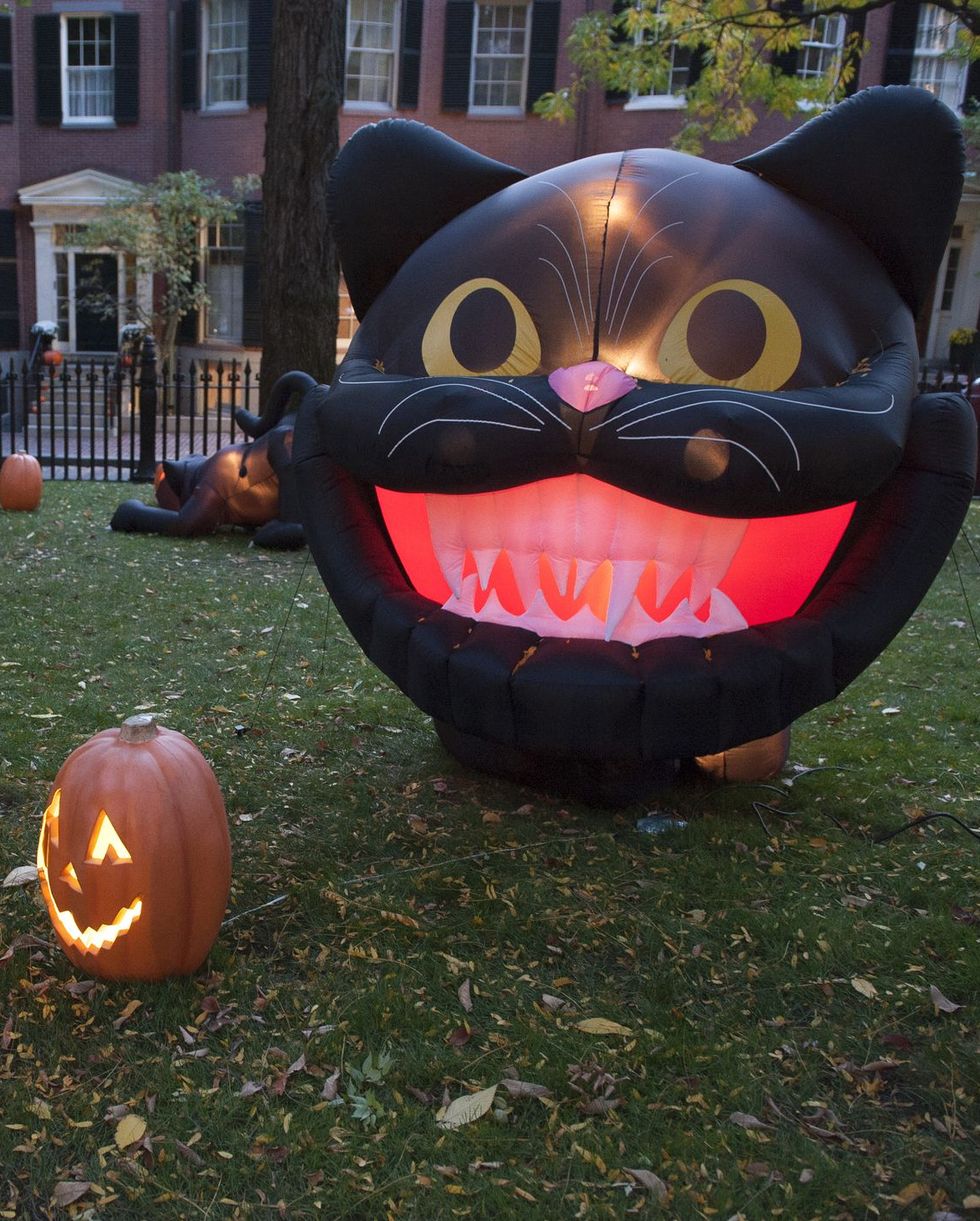 yard with giant inflatable black cat head and jack o lanterns