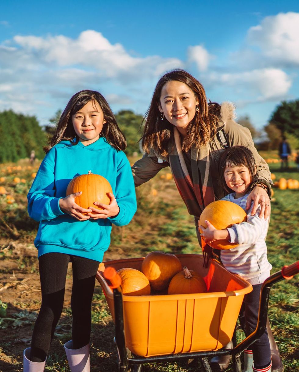 mom and two daughters picking pumpkins in the pumpkin patch joyfully on a blue sky day
