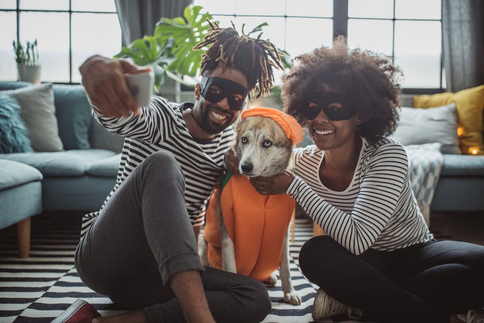 couple with a dog in a halloween costume