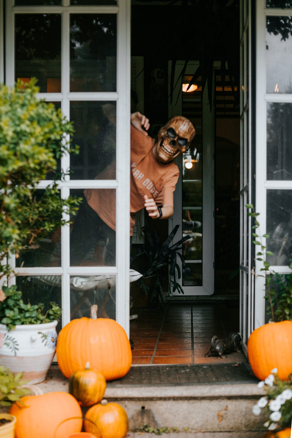 outdoor halloween decorations