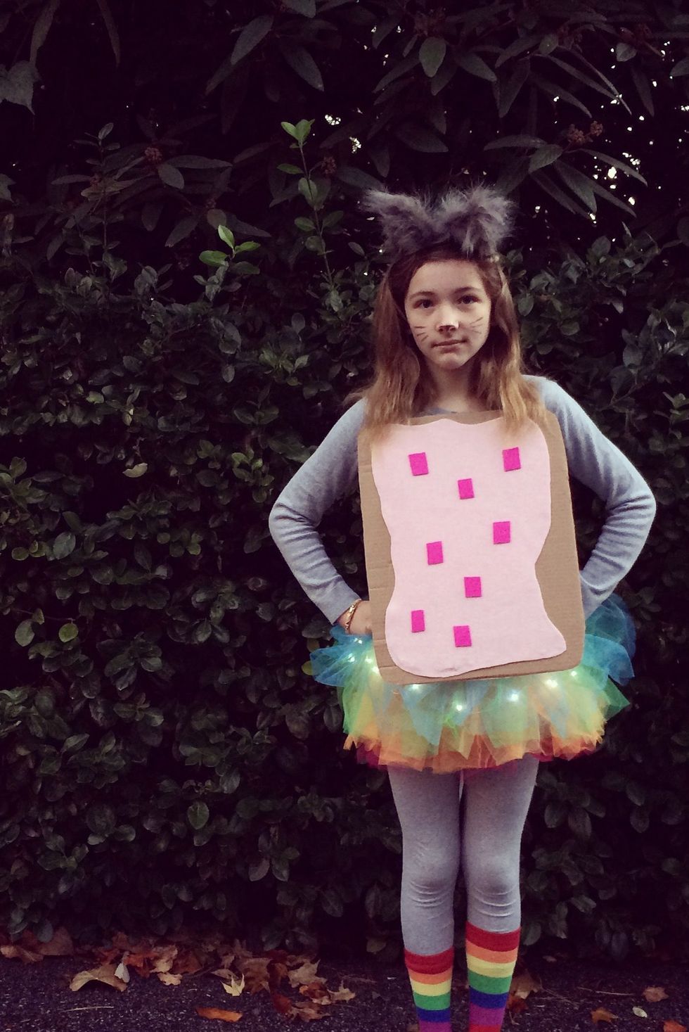 12 or 13 year old tween girl wearing halloween costume inspired by nyan cat meme with rainbow tutu and cardboard poptart top
