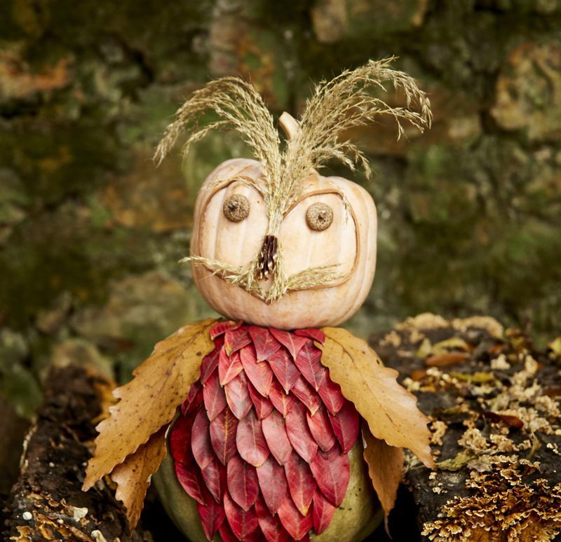https://hips.hearstapps.com/hmg-prod/images/halloween-crafts-toddlers-preschoolers-owl-pumpkin-1634671969.jpeg?crop=1.00xw:0.773xh;0,0.0571xh&resize=980:*
