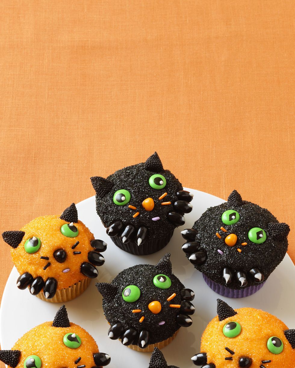 black and orange halloween kitten cupcakes