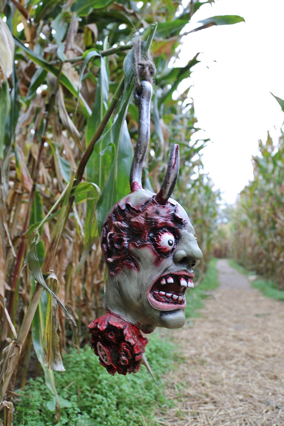 Halloween decorations at the haunted corn maze
