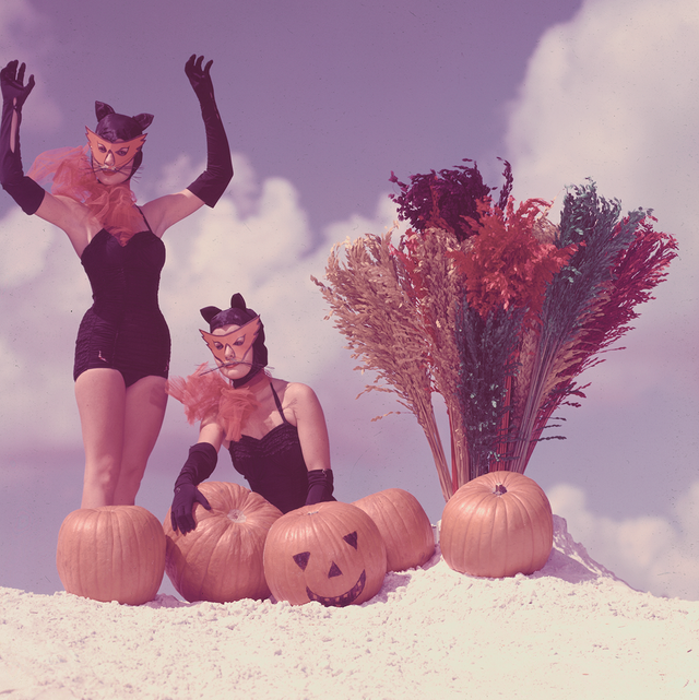 women dressed as cats with pumpkins