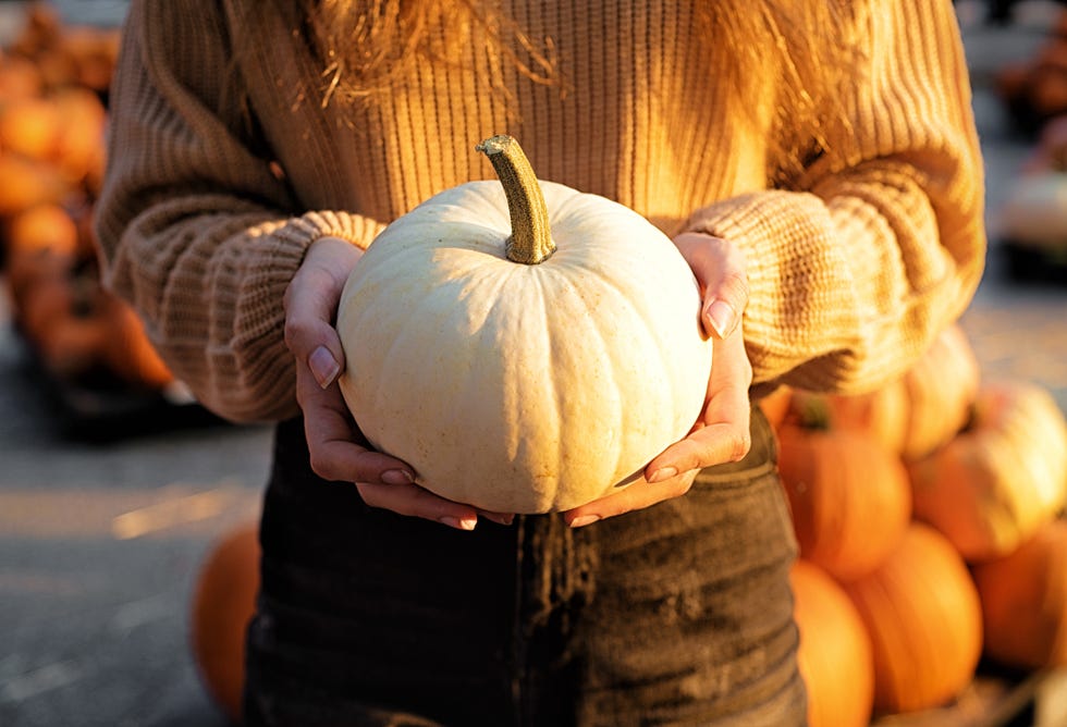 young woman holding a white pumpkin on a pumpkin patch