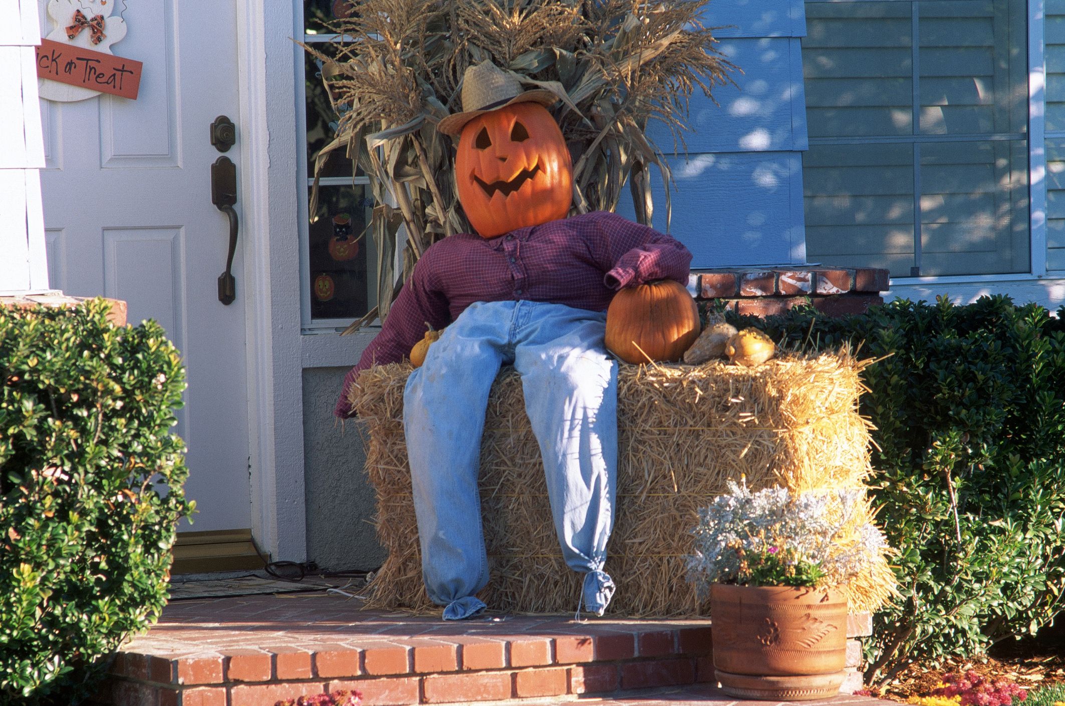 Halloween retailer pumpkin decor bowl and 4 mugs