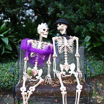 skeletons sitting on park bench