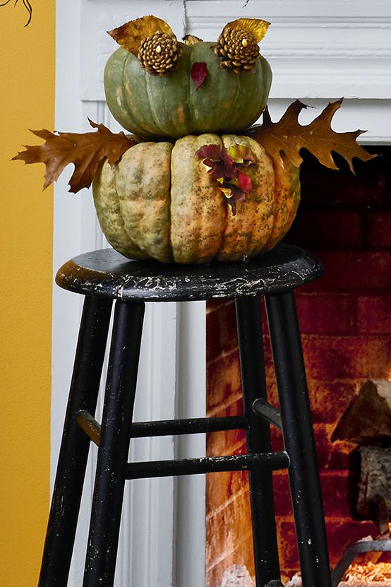 pumpkin decorating ideas  what a hoot pumpkin