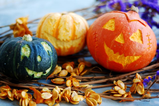 Best Places to Celebrate Fall and Halloween in Central Florida