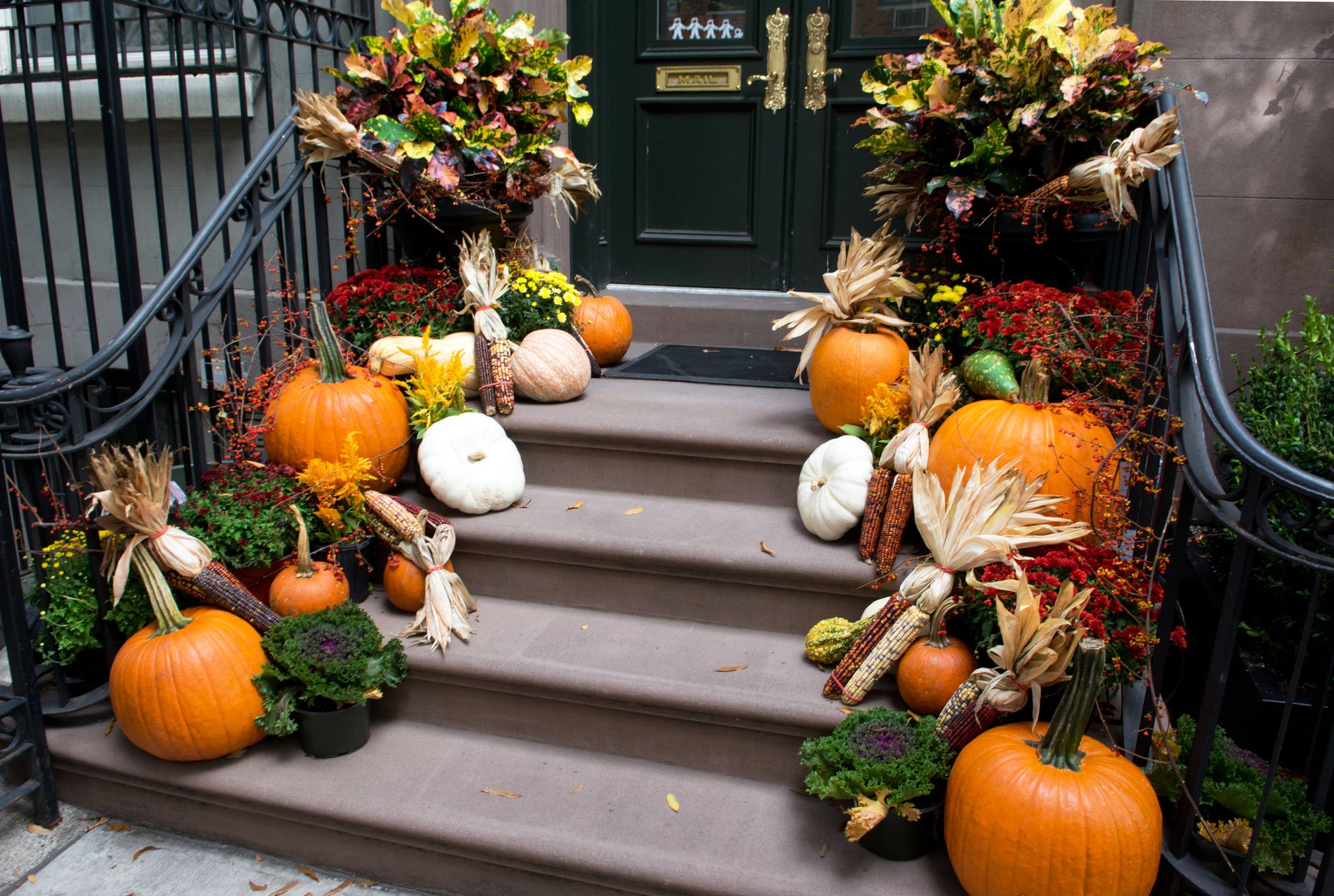 Halloween shop garden decor