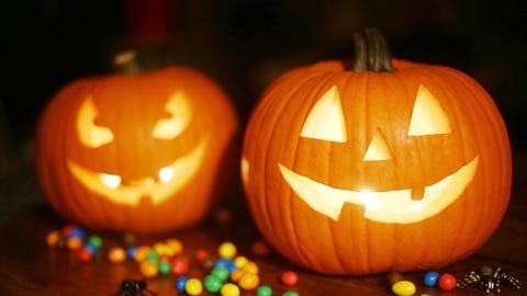 Image result for pumpkin