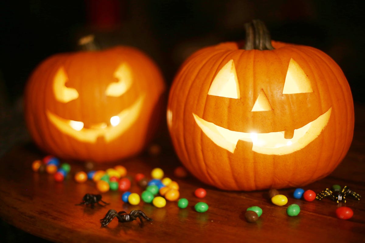 preview for The 30 Best Pumpkin Spice Products Right Now