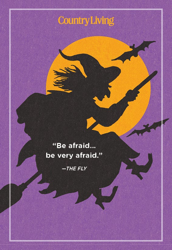 quote from the fly