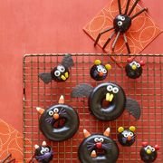 halloween snacks   black cat, bat, spider, and mice doughnuts