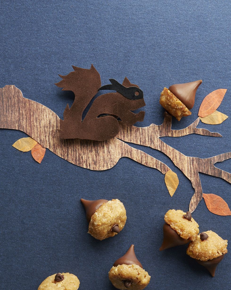peanut butter acorns arranged on a black background with a paper tree branch and squirrel