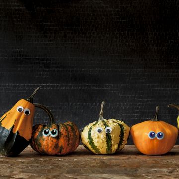 halloween trivia questions squash and pumpkins