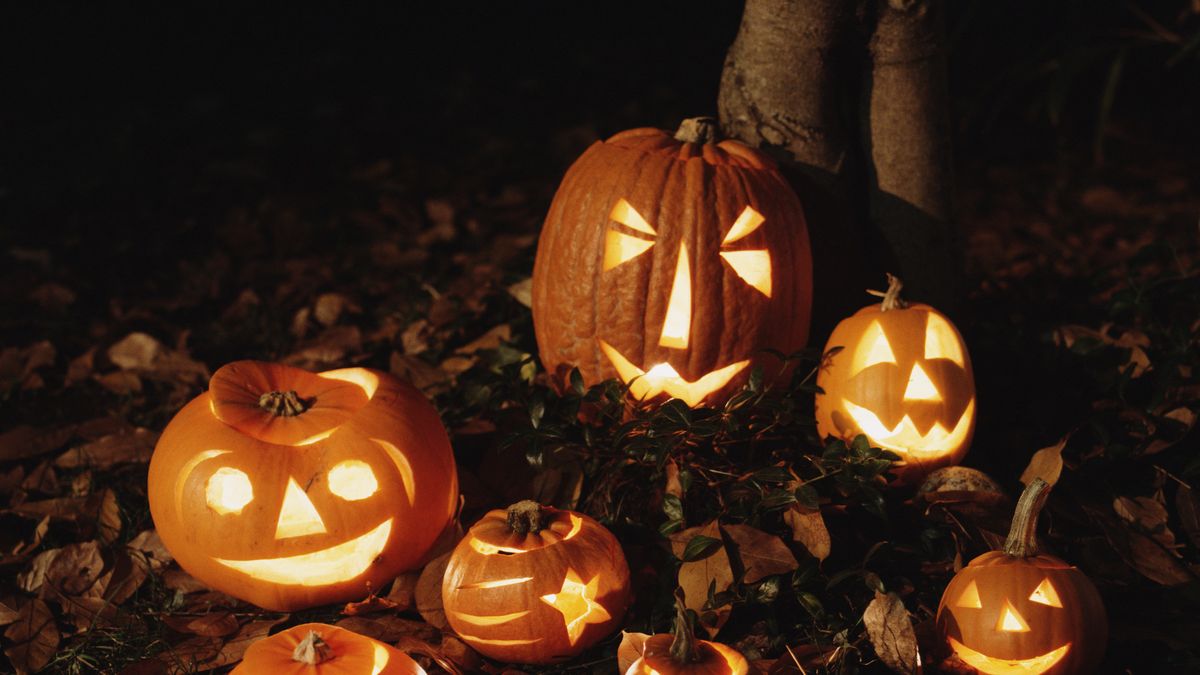 preview for 10 Haunting Facts About Halloween
