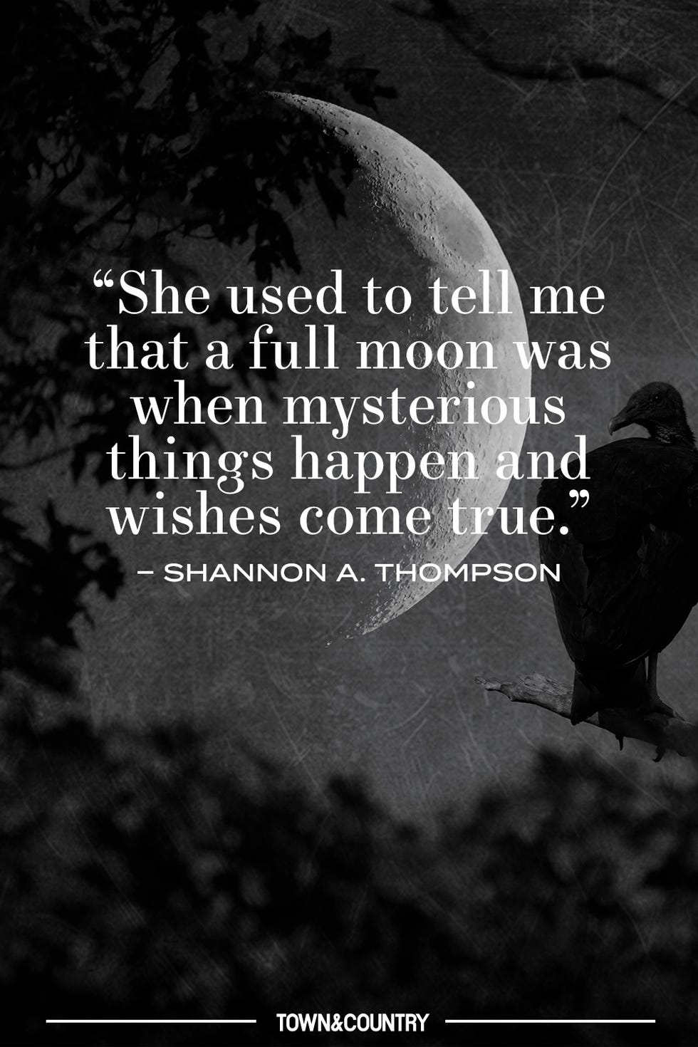 halloween quotes halloween quotes