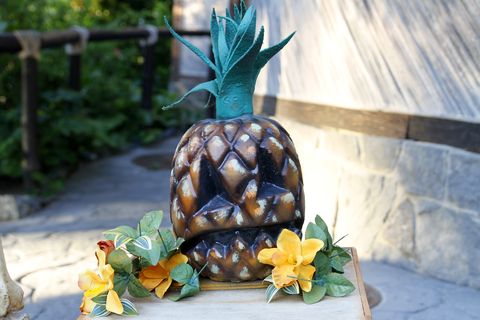halloween's pineapple at garden