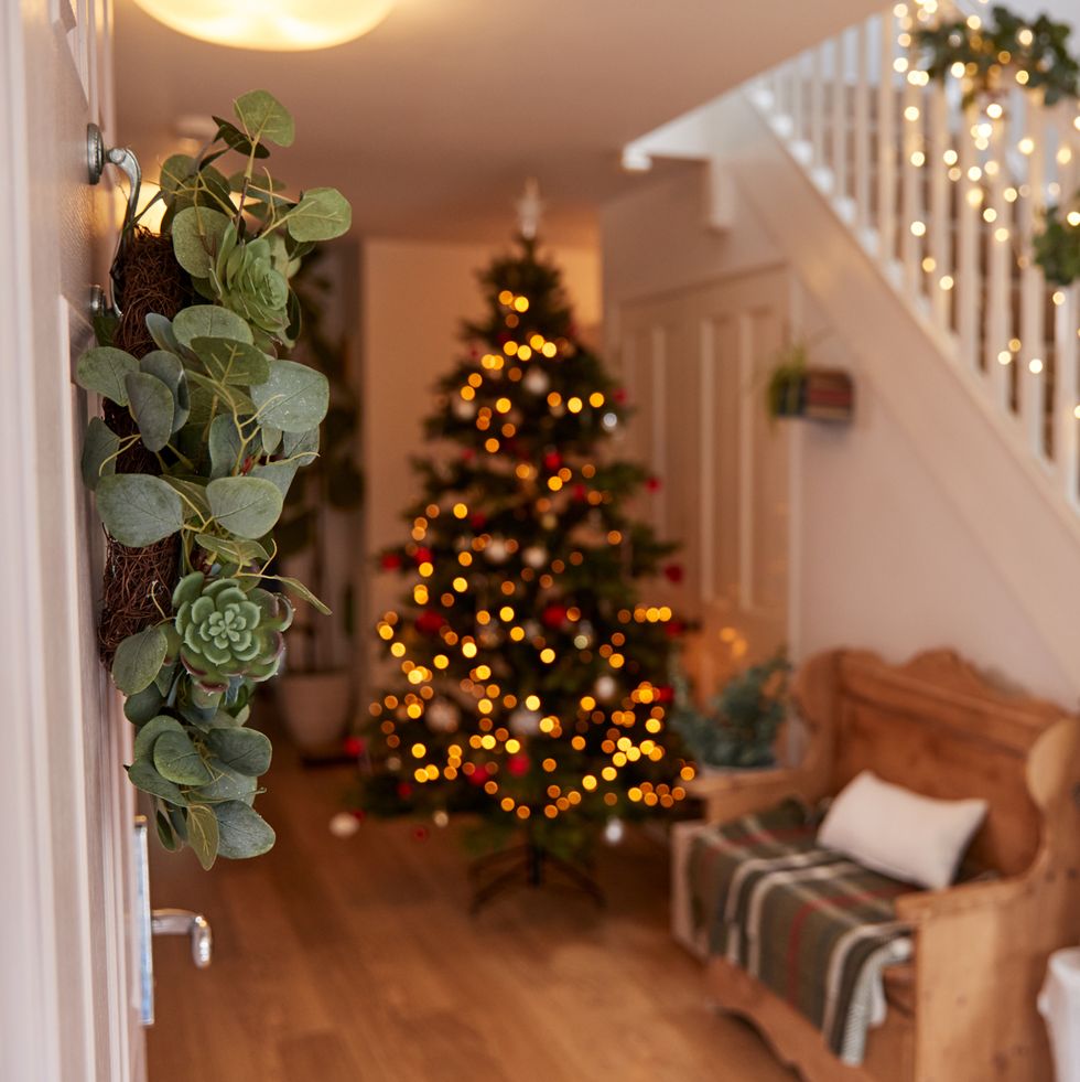hallway of home decorated for christmas viewed through front door